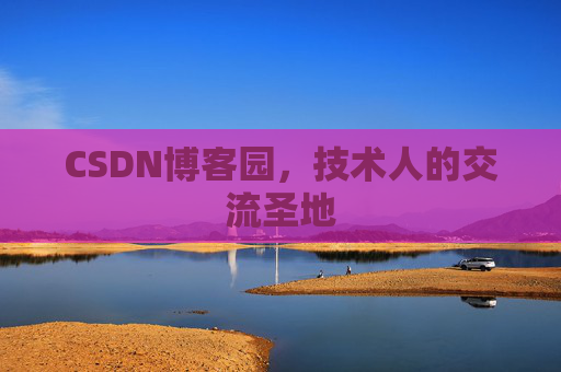 CSDN博客园，技术人的交流圣地
